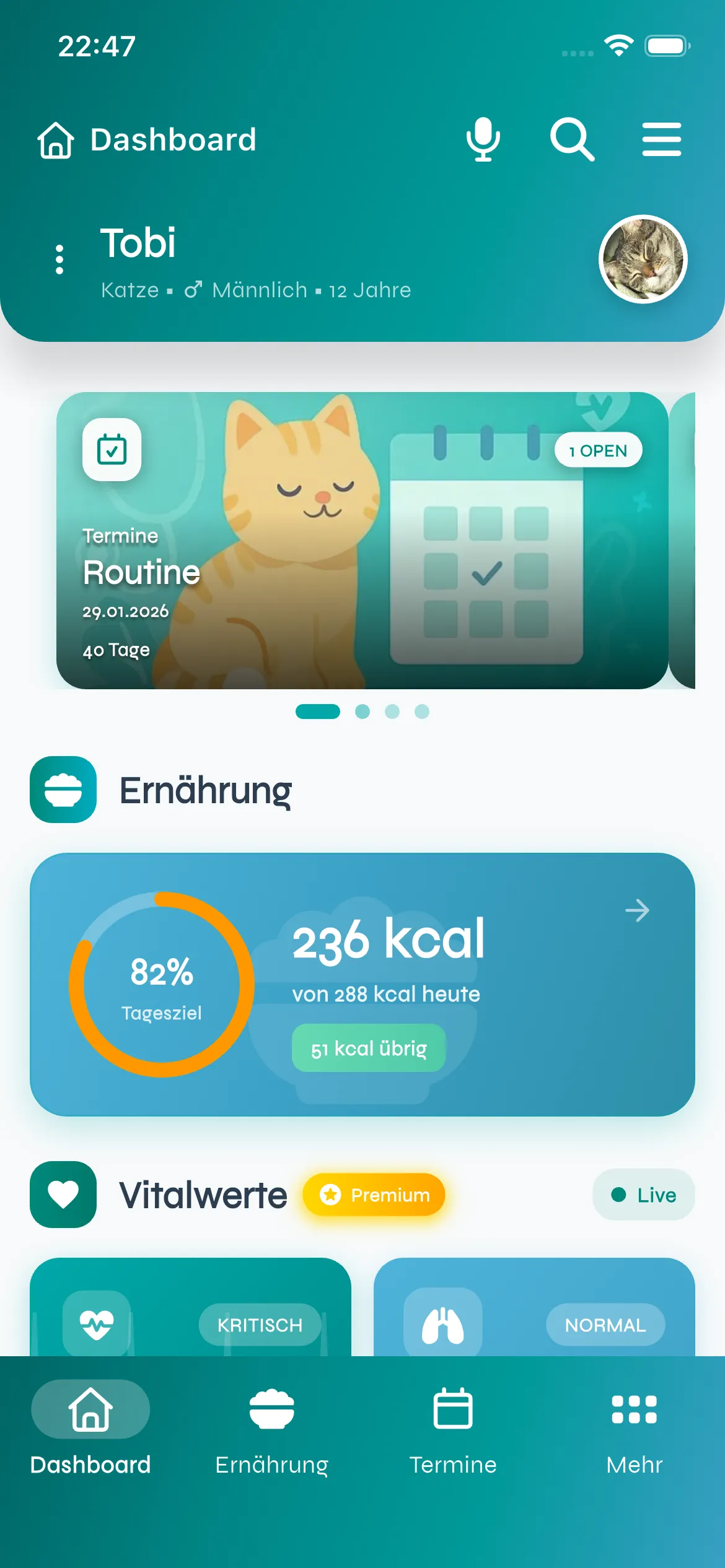 ZooByte Medikamenten-Erinnerung