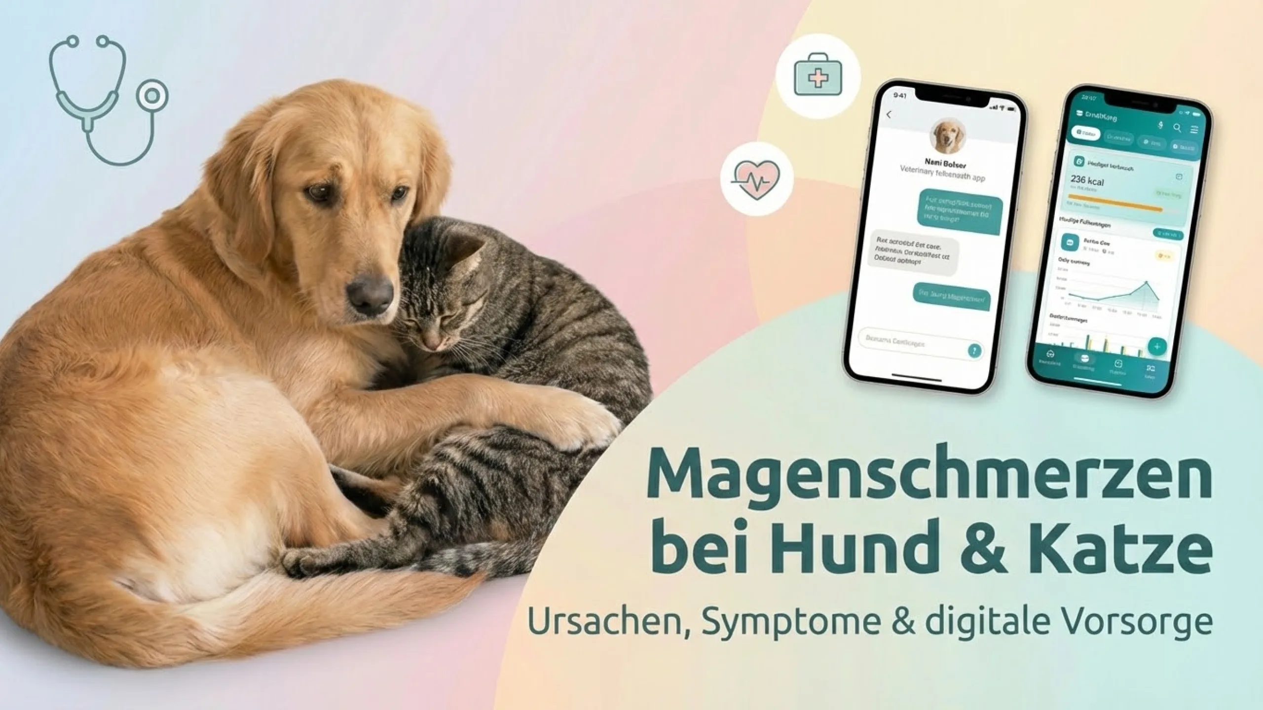 Magenschmerzen bei Hund & Katze – Ursachen, Symptome, Diagnose & Behandlung